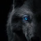 ruth-matheus