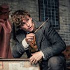 newt-scamander-4
