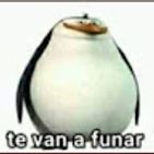 el-xeider
