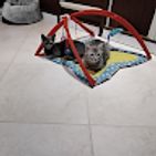 Paolaaa2222