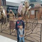 HenryPaul1991