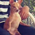 Jaroly_Polanco