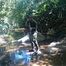 carlos-andres-perez-1-avatar