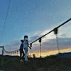 consuelo-coca-portanda