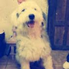 david-paucar-6