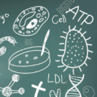 biology_student