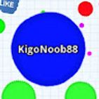 kigonoob-88