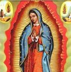 leonor-vinces-arcela