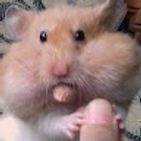 giuligel