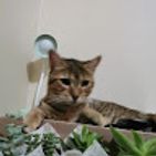 mayela-torres