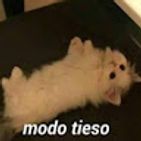 dany-ger