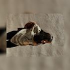 johana-corona-1