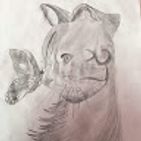 sara-molla-faus