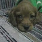 fabian-calvo-baltodano-1