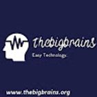 the-big-brains