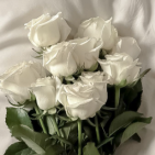 Sara__1503