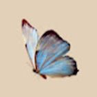 mahayer-bonilla