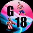 goic18