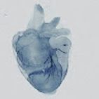 latifa_ah