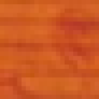sofialabassa02