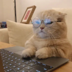 ccatvv
