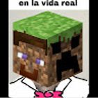 minecraft-elvr