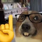 pablo-picon
