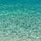 Marina_cp6