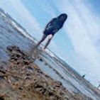 cayascas-cynthia-d