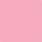 ariana-castedo-leon