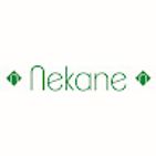 nekane-klaseak