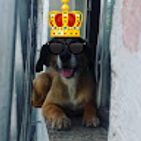 carlos-eduardo-tgz