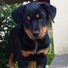 carlos-nacato-1