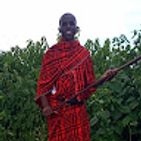 nkadayo-kauki