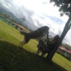 laura-millan-14