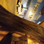 alessandra-valerin-flores