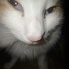 wendy-zambrano-11