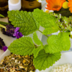 LUPESITA-PEREZ