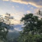 aliz-jhaziel-troncoso-palla