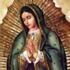 maria-laura-rodriguez-llave