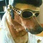 un-perejil