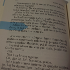 mauradamico