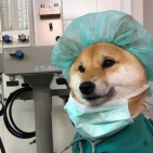 luumedstudent