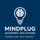mindplug-solutions