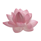 puffled