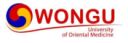 logo Wongu University