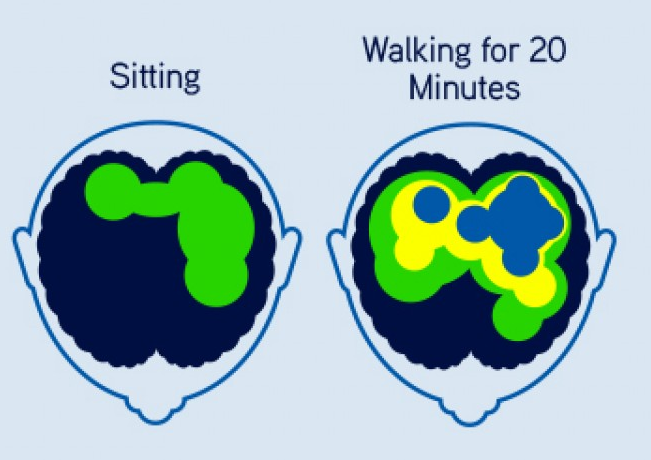 Brain stimulation, Happiness, The Whole Story