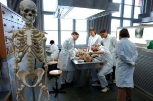 10 Realities of a Medical Student 10 Realities of a Medical Student