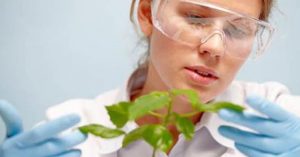 5 coisas estranhas que estudantes de biologia e biólogos fazem 5 coisas estranhas que estudantes de biologia e biólogos fazem